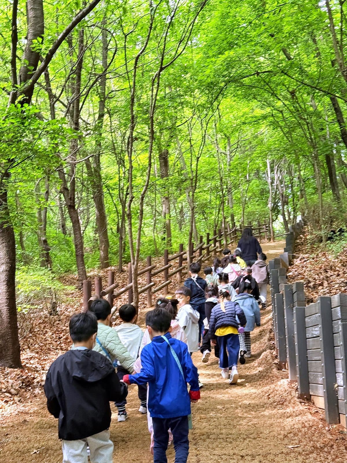 자연과 마음을 나누는 생태교육 활동 모습 6